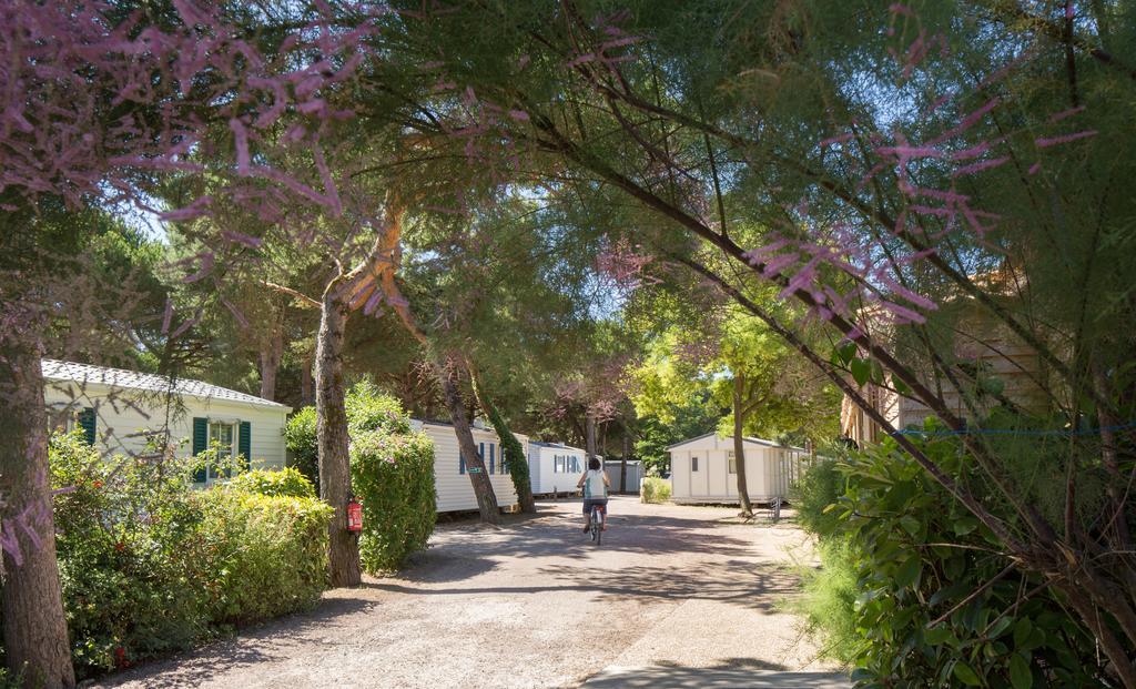 Camping Le Suroit Le Bois-Plage-en-Ré Eksteriør billede